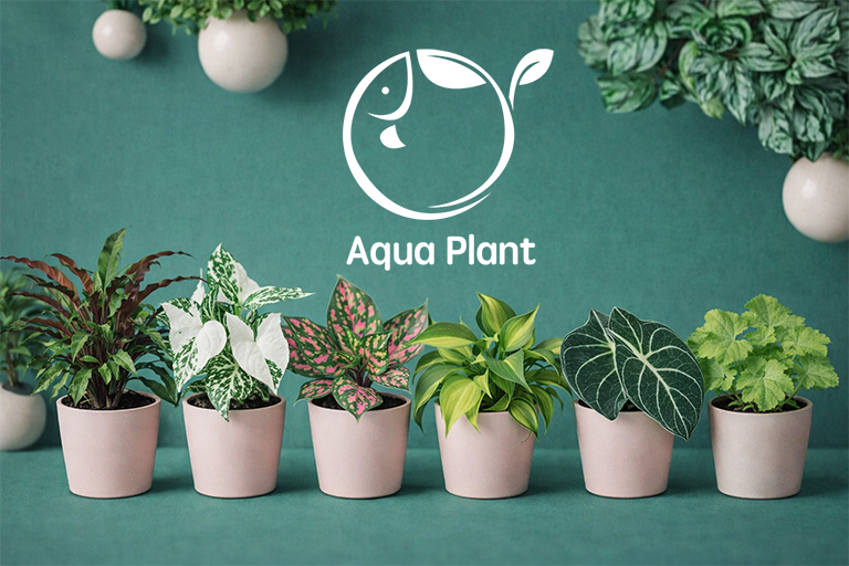 نباتات داخليه