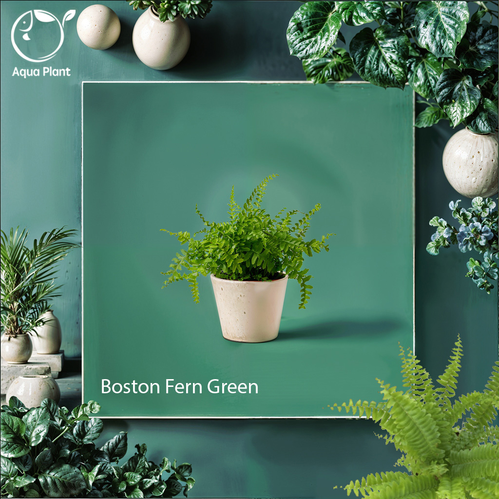 Boston Fern Green