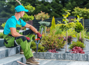 Irritation and crying in autistic children after using L-methylfolate or leucovorin (folinic acid).